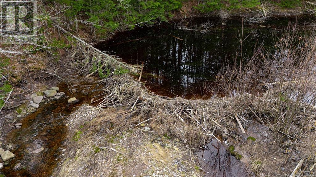 Land Post Road, Rusagonis, New Brunswick  E3B 0O0 - Photo 17 - NB118316