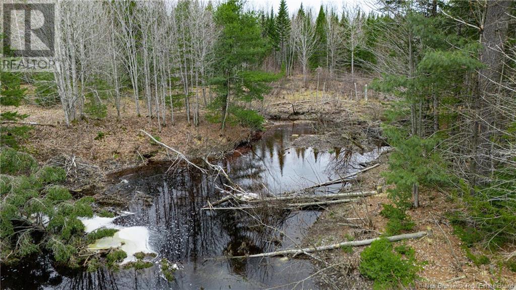 Land Post Road, Rusagonis, New Brunswick  E3B 0O0 - Photo 18 - NB118316
