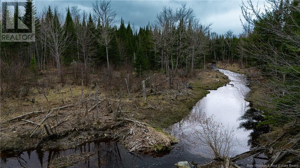 Land Post Road, Rusagonis, New Brunswick  E3B 0O0 - Photo 19 - NB118316