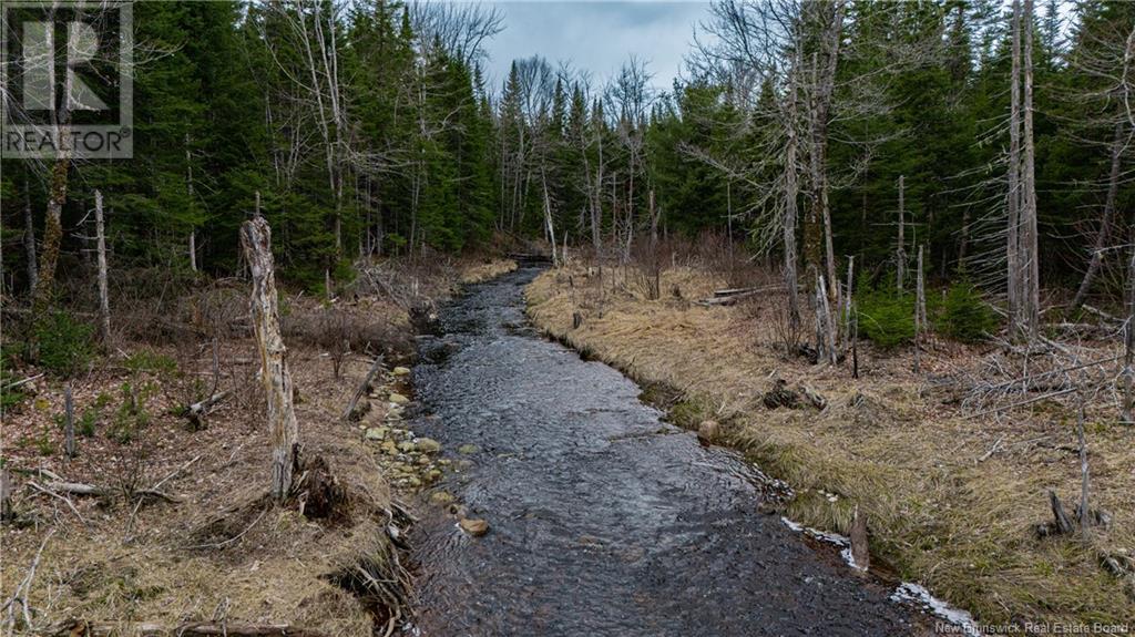 Land Post Road, Rusagonis, New Brunswick  E3B 0O0 - Photo 21 - NB118316