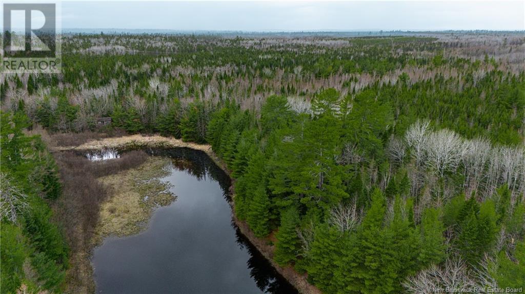 Land Post Road, Rusagonis, New Brunswick  E3B 0O0 - Photo 29 - NB118316