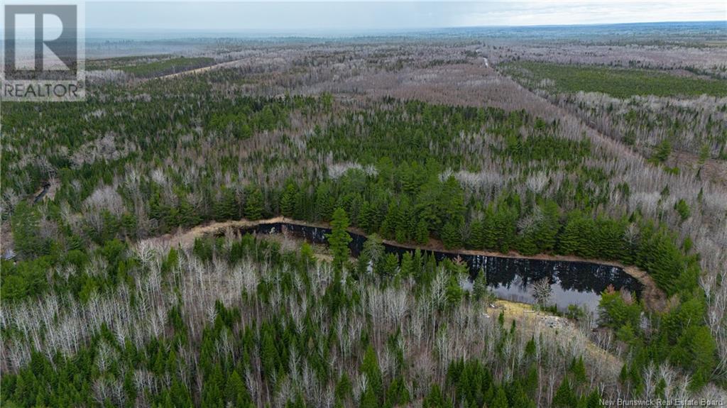 Land Post Road, Rusagonis, New Brunswick  E3B 0O0 - Photo 33 - NB118316
