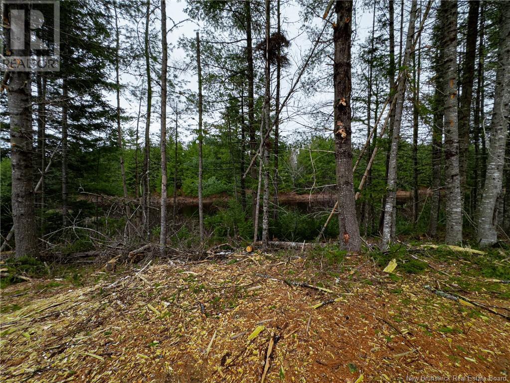 Land Post Road, Rusagonis, New Brunswick  E3B 0O0 - Photo 48 - NB118316