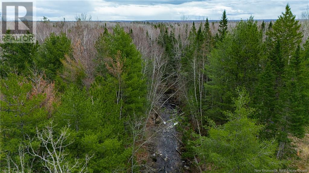Land Post Road, Rusagonis, New Brunswick  E3B 0O0 - Photo 7 - NB118316