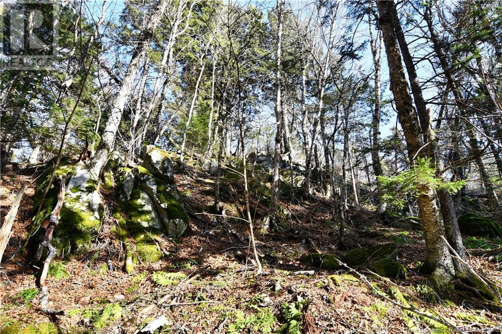 88-101 To 88-104 Bunker Hill, Wilsons Beach, New Brunswick  E5E 1Z3 - Photo 13 - NB114785