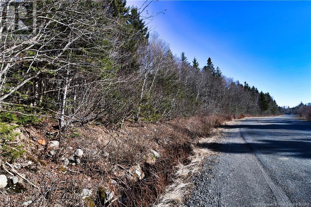 88-101 To 88-104 Bunker Hill, Wilsons Beach, New Brunswick  E5E 1Z3 - Photo 15 - NB114785
