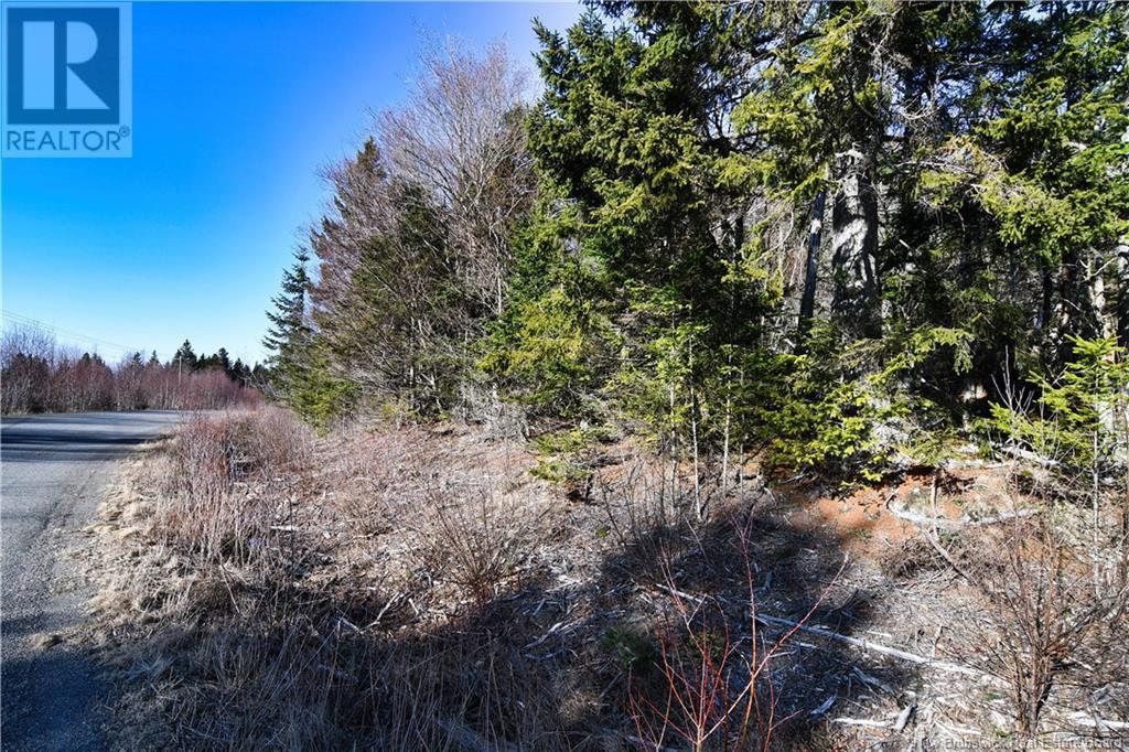 88-101 To 88-104 Bunker Hill, Wilsons Beach, New Brunswick  E5E 1Z3 - Photo 16 - NB114785