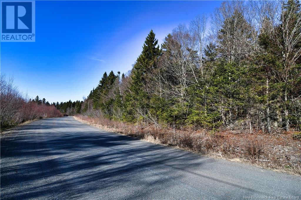 88-101 To 88-104 Bunker Hill, Wilsons Beach, New Brunswick  E5E 1Z3 - Photo 17 - NB114785