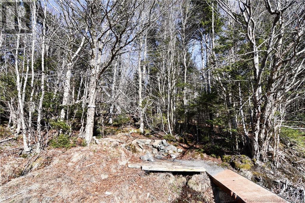 88-101 To 88-104 Bunker Hill, Wilsons Beach, New Brunswick  E5E 1Z3 - Photo 18 - NB114785