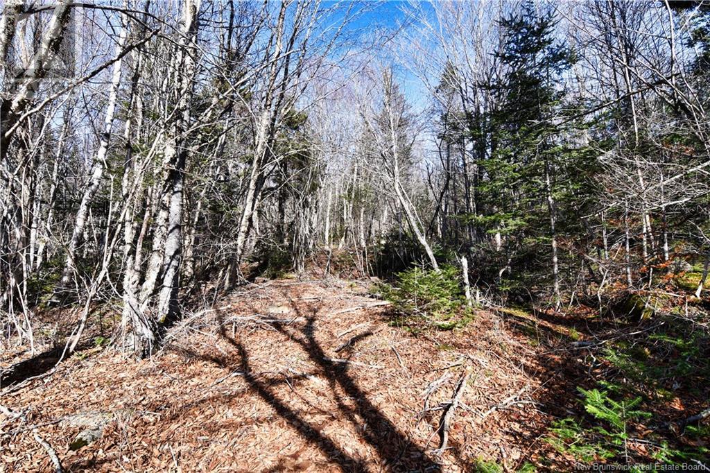 88-101 To 88-104 Bunker Hill, Wilsons Beach, New Brunswick  E5E 1Z3 - Photo 8 - NB114785
