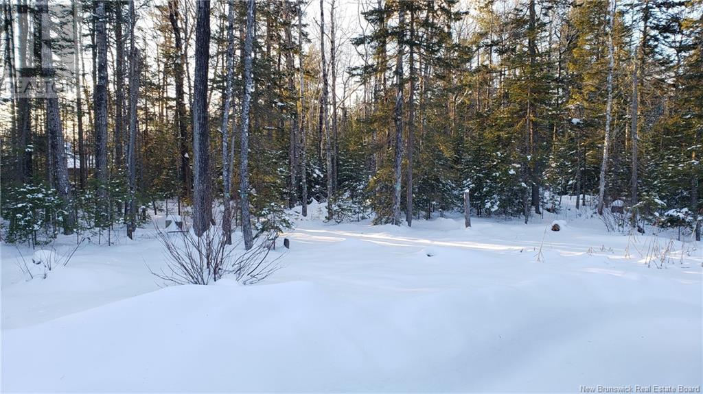 34 Carson Road, Havelock, New Brunswick  E4Z 0A5 - Photo 20 - NB118338