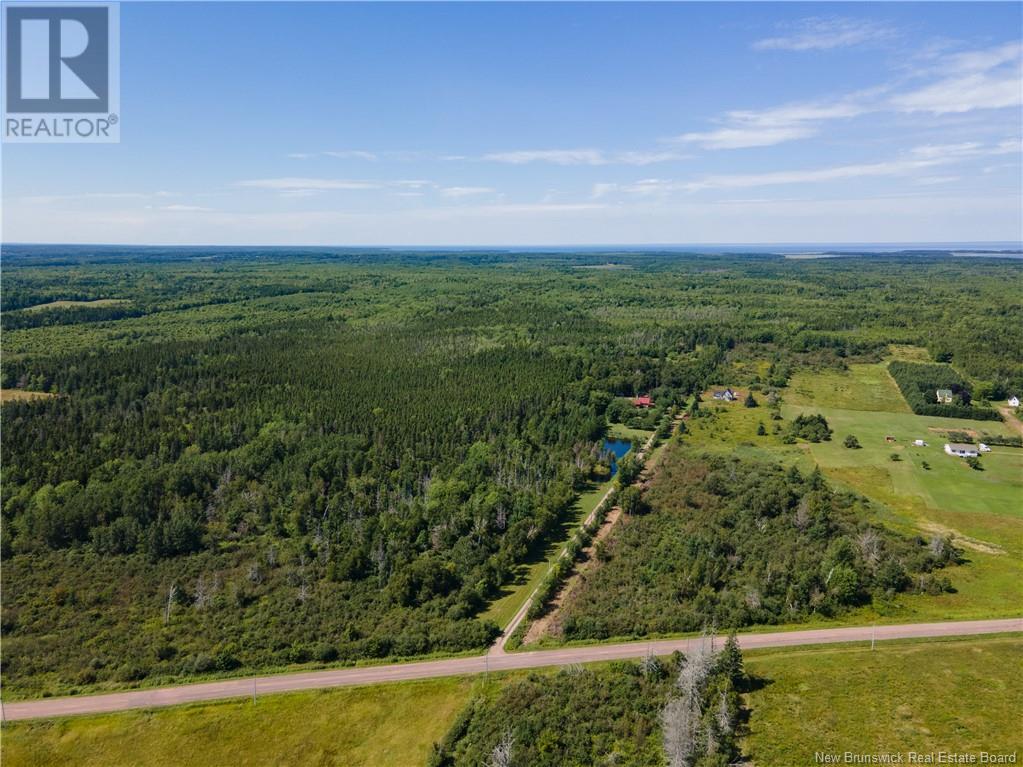 Route 960, Cape Spear, New Brunswick  E4M 1R6 - Photo 10 - NB118221
