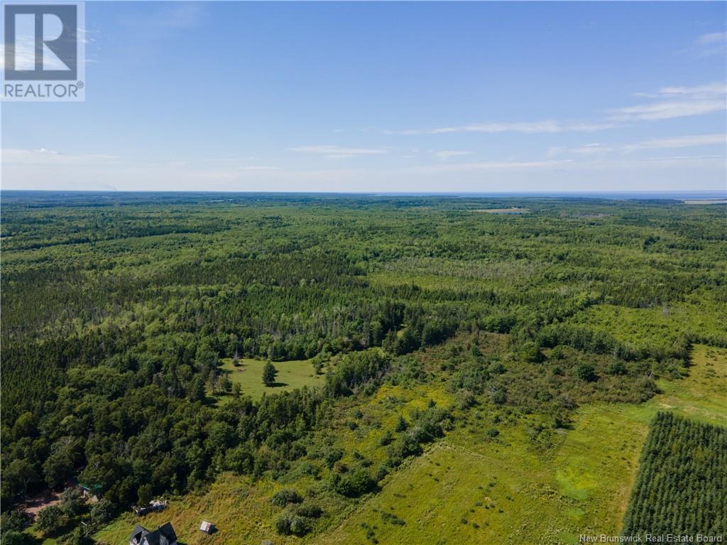 Route 960, Cape Spear, New Brunswick  E4M 1R6 - Photo 12 - NB118221