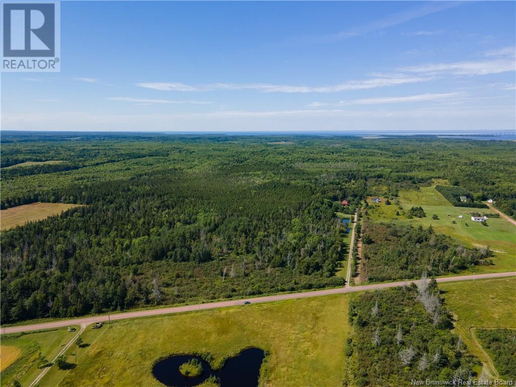 Route 960, Cape Spear, New Brunswick  E4M 1R6 - Photo 13 - NB118221