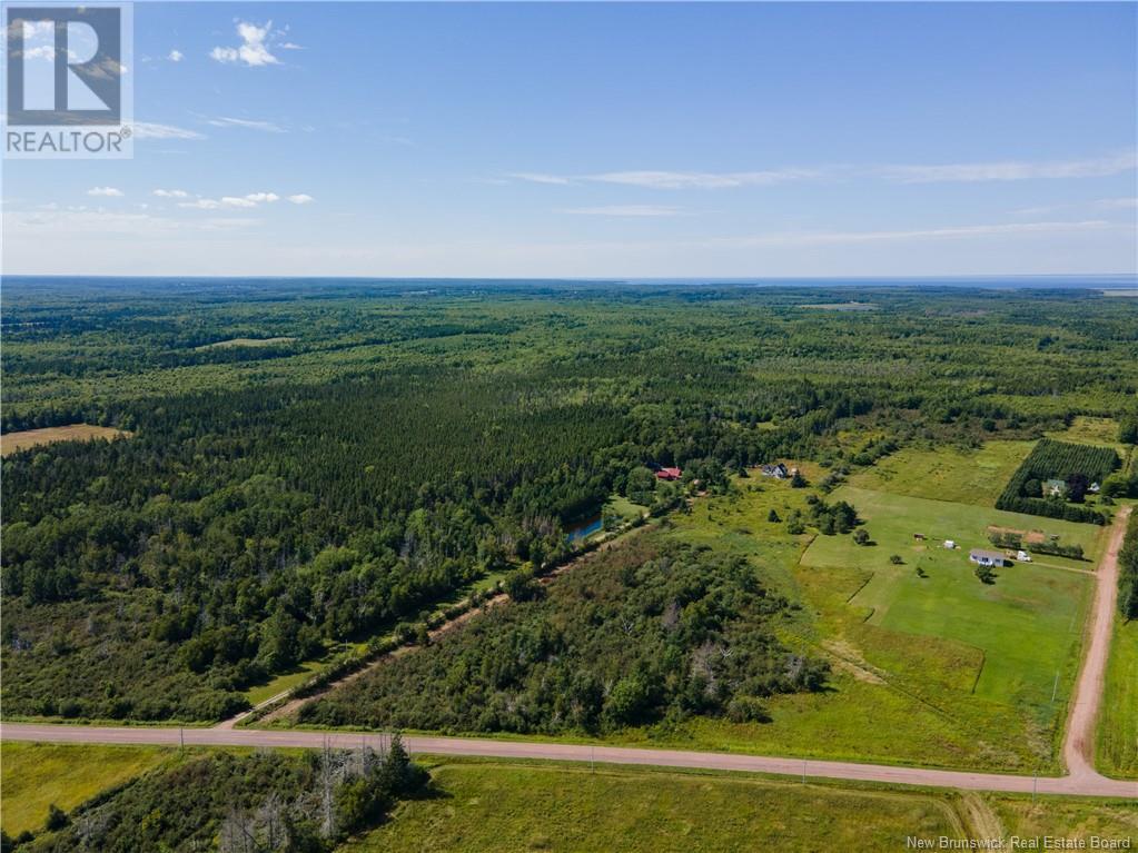 Route 960, Cape Spear, New Brunswick  E4M 1R6 - Photo 16 - NB118221