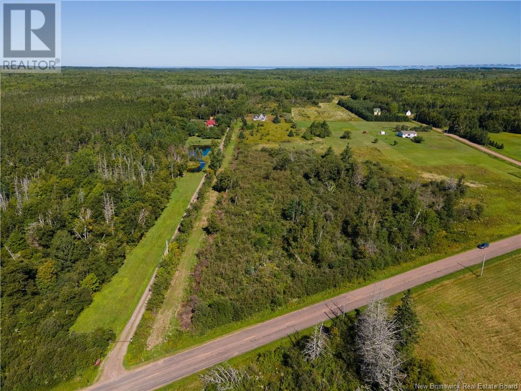 Route 960, Cape Spear, New Brunswick  E4M 1R6 - Photo 18 - NB118221