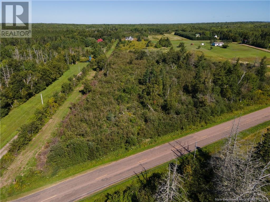 Route 960, Cape Spear, New Brunswick  E4M 1R6 - Photo 6 - NB118221