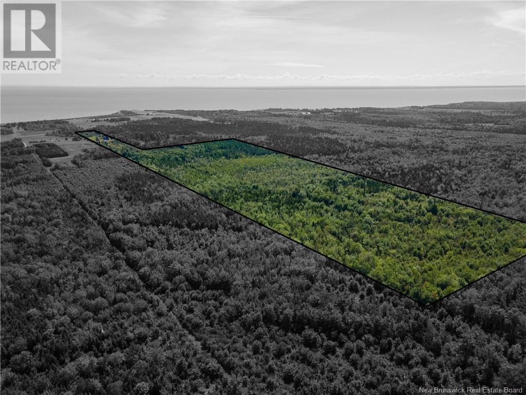 Route 960, Cape Spear, New Brunswick  E4M 1R6 - Photo 7 - NB118221