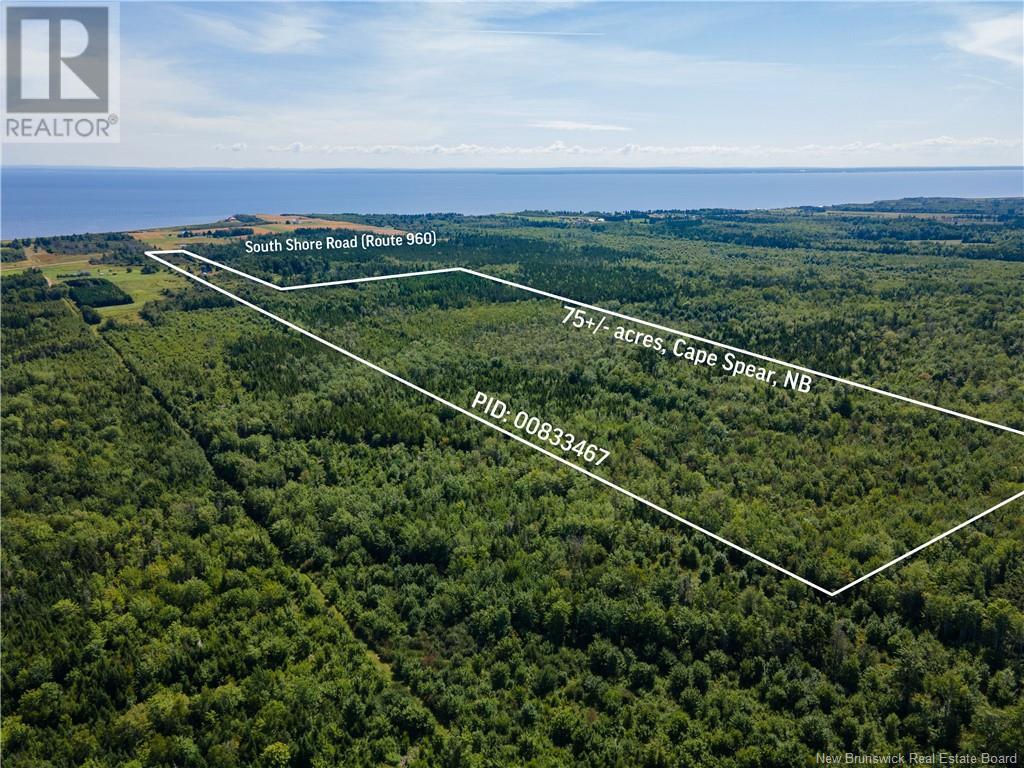 Route 960, Cape Spear, New Brunswick  E4M 1R6 - Photo 8 - NB118221