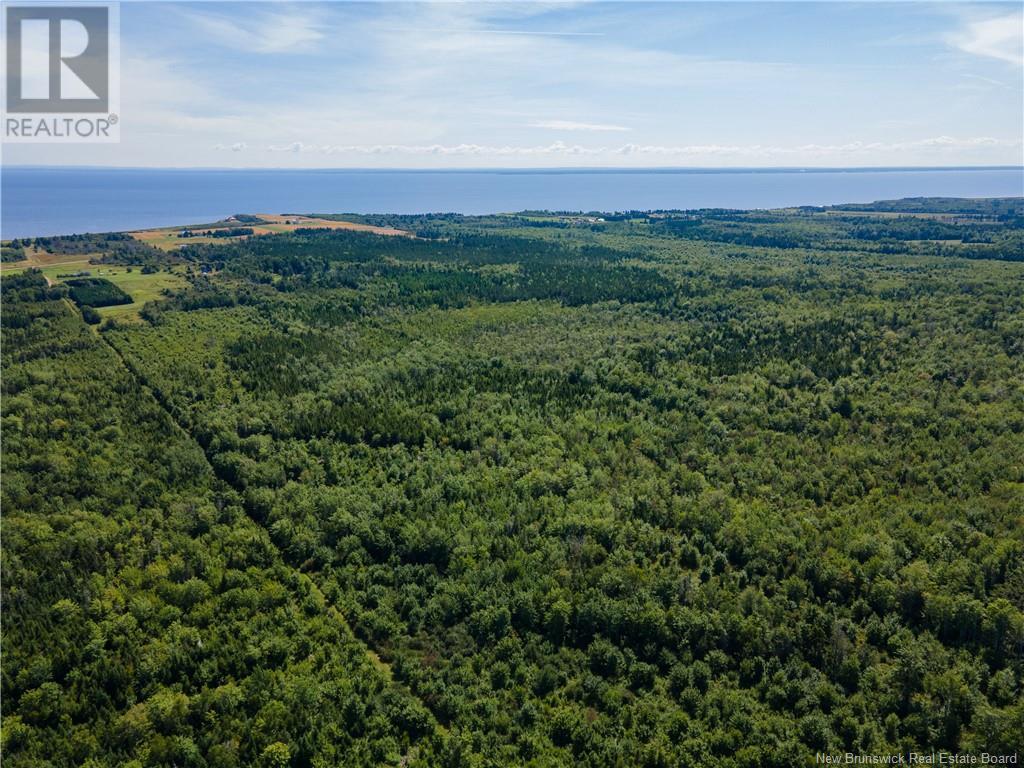 Route 960, Cape Spear, New Brunswick  E4M 1R6 - Photo 9 - NB118221