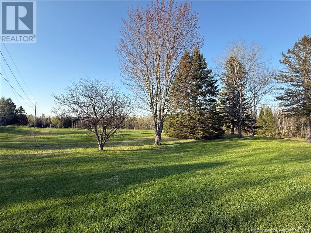 676 Gillespie Road, Dsl De Grand-Sault/falls, New Brunswick  E3Z 1J3 - Photo 43 - NB118350