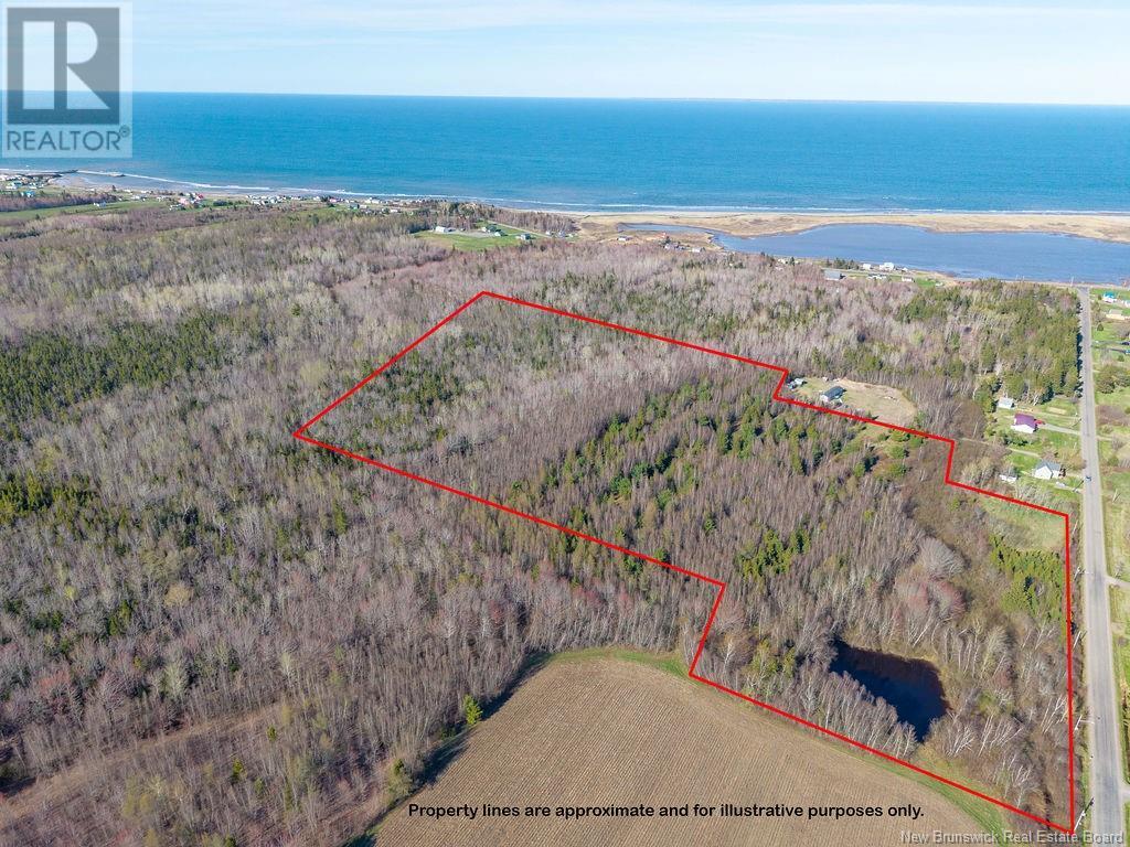 Perry Road, Bouctouche, New Brunswick  E4S 4S9 - Photo 6 - NB118175