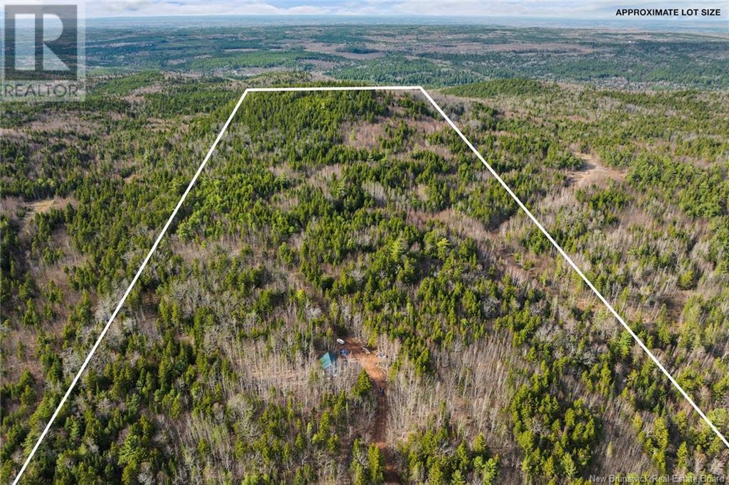 50 Lewis Road, Hoyt, New Brunswick  E5L 2E1 - Photo 32 - NB118348