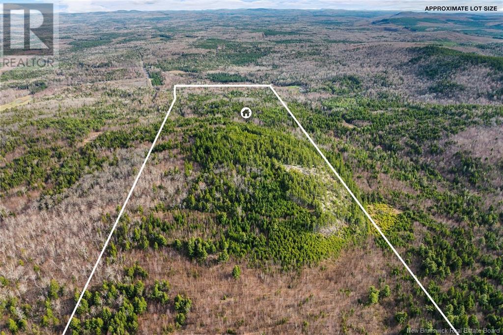 50 Lewis Road, Hoyt, New Brunswick  E5L 2E1 - Photo 33 - NB118348