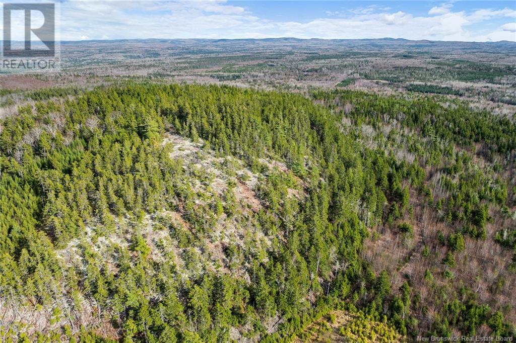 50 Lewis Road, Hoyt, New Brunswick  E5L 2E1 - Photo 34 - NB118348