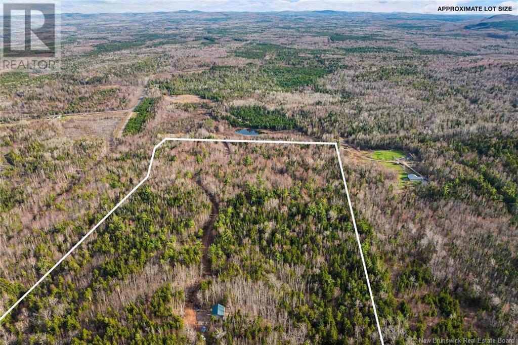50 Lewis Road, Hoyt, New Brunswick  E5L 2E1 - Photo 37 - NB118348