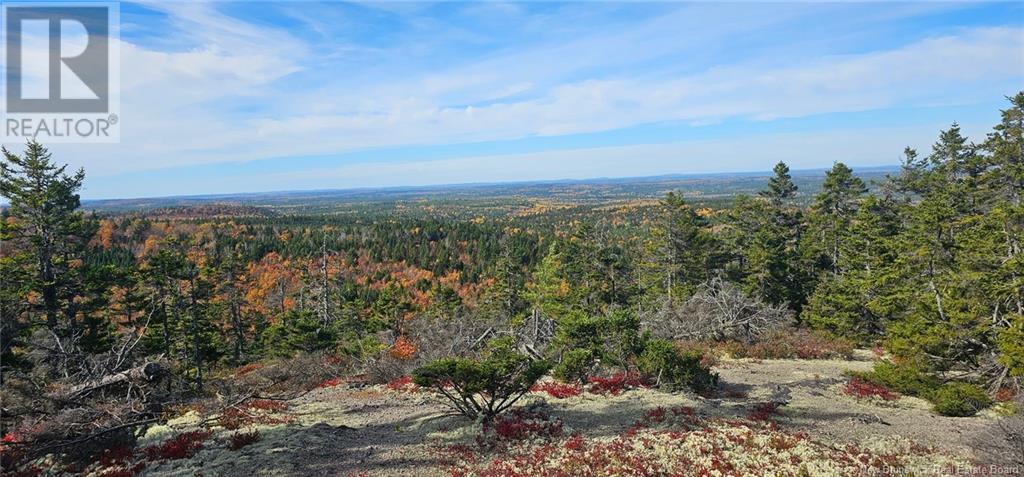 50 Lewis Road, Hoyt, New Brunswick  E5L 2E1 - Photo 6 - NB118348