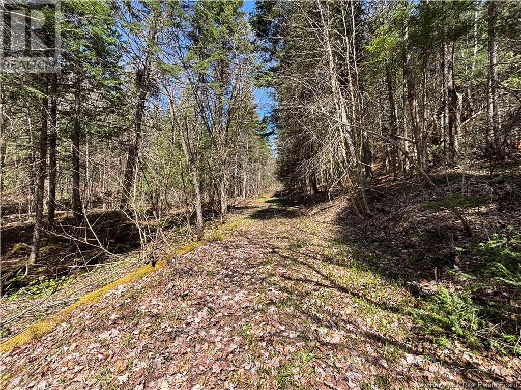 219 Churchland Road, Tilley, New Brunswick  E7H 1S7 - Photo 13 - NB118243