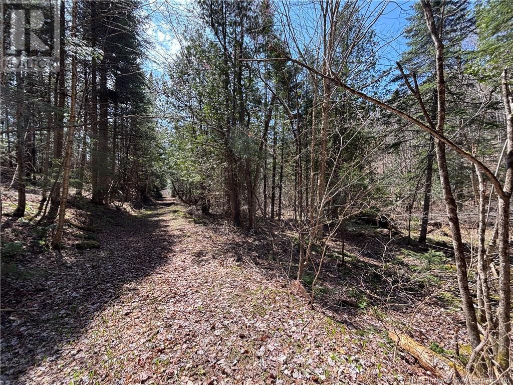 219 Churchland Road, Tilley, New Brunswick  E7H 1S7 - Photo 14 - NB118243