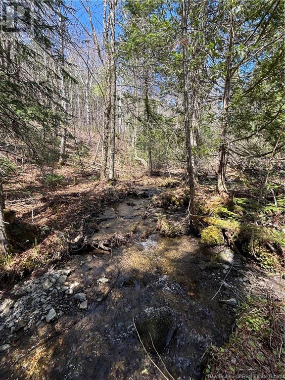 219 Churchland Road, Tilley, New Brunswick  E7H 1S7 - Photo 15 - NB118243