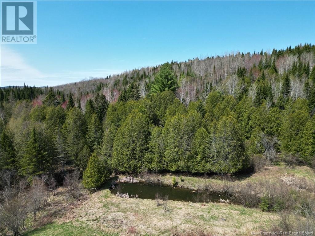 219 Churchland Road, Tilley, New Brunswick  E7H 1S7 - Photo 16 - NB118243