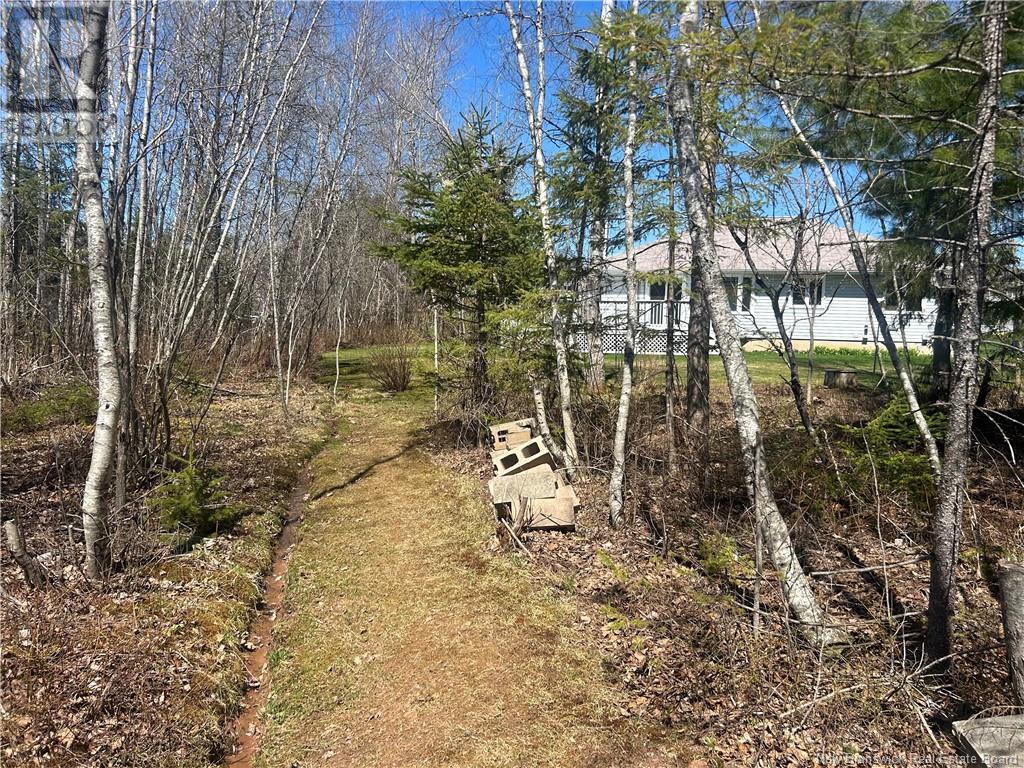 369 Callowhill Road, Riverview, New Brunswick  E1B 4N3 - Photo 30 - NB118012