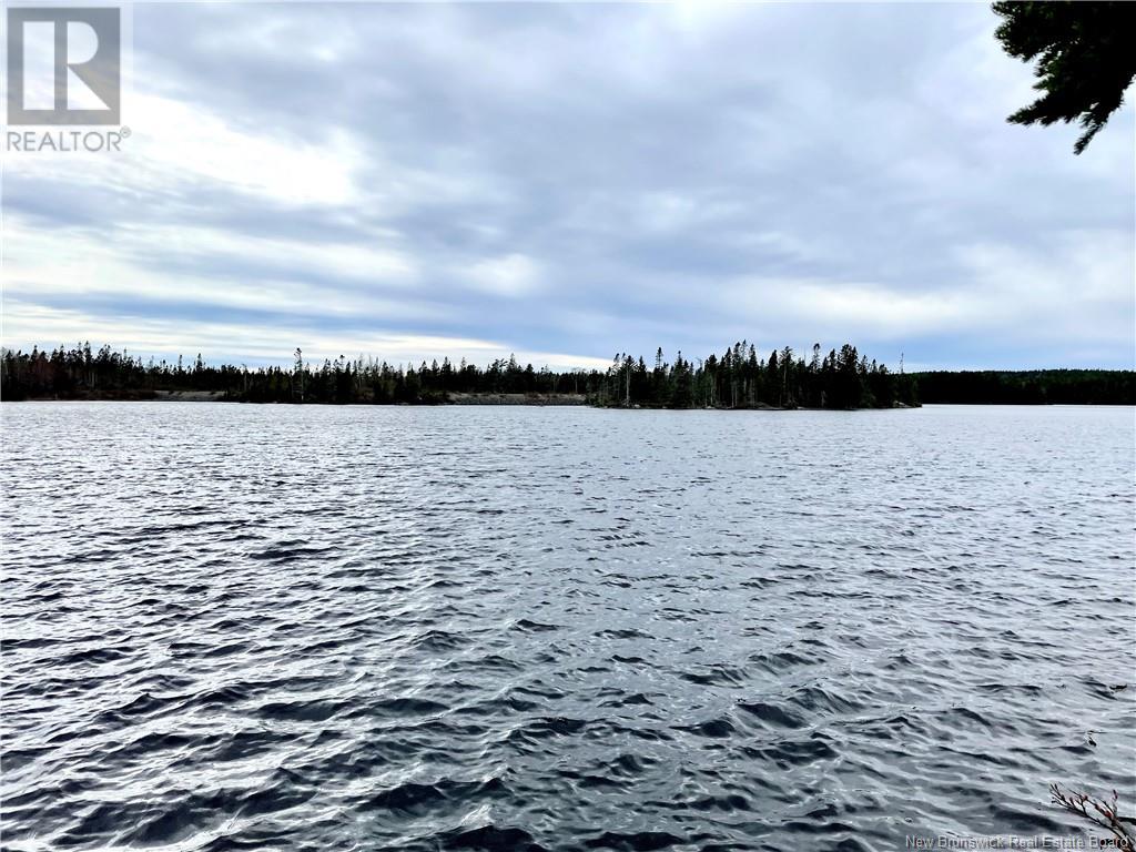 175 Stillwater Road, Musquash, New Brunswick  E5J 2K3 - Photo 24 - NB118219