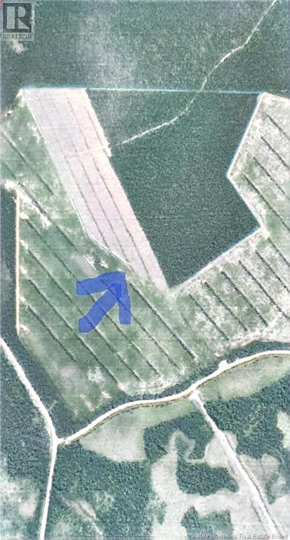 61 Acres Crown Land, Pont-Lafrance, New Brunswick  E1X 2M8 - Photo 2 - NB118204