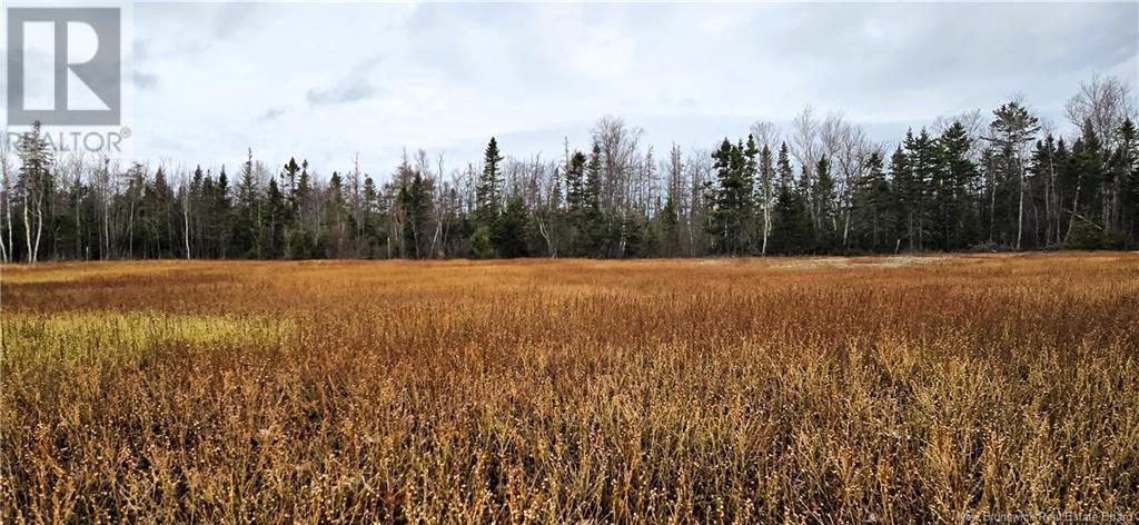 94 acres Chemin Pallot, Pont-Lafrance, New Brunswick