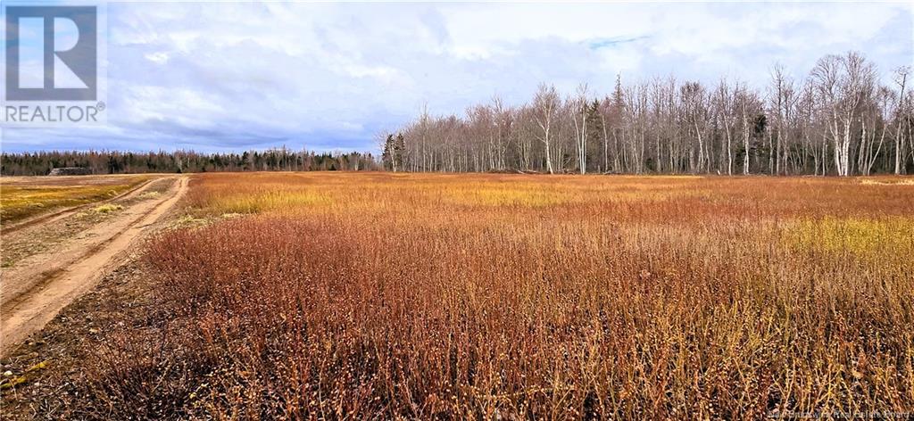 94 Acres Chemin Pallot, Pont-Lafrance, New Brunswick  E8P 1B5 - Photo 2 - NB118202