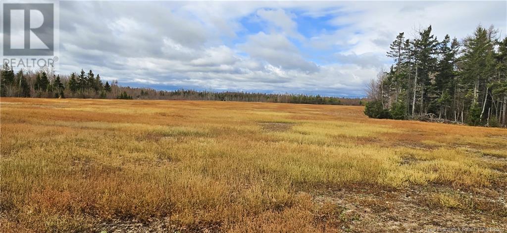 94 Acres Chemin Pallot, Pont-Lafrance, New Brunswick  E8P 1B5 - Photo 4 - NB118202