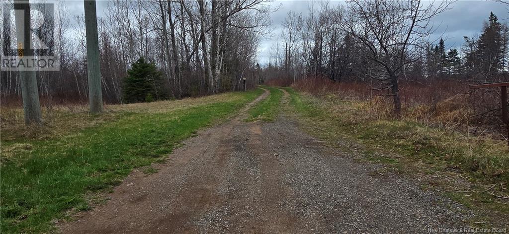 94 Acres Chemin Pallot, Pont-Lafrance, New Brunswick  E8P 1B5 - Photo 5 - NB118202