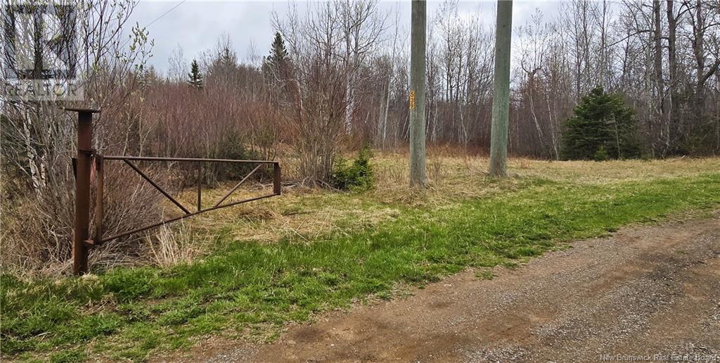 94 Acres Chemin Pallot, Pont-Lafrance, New Brunswick  E8P 1B5 - Photo 6 - NB118202