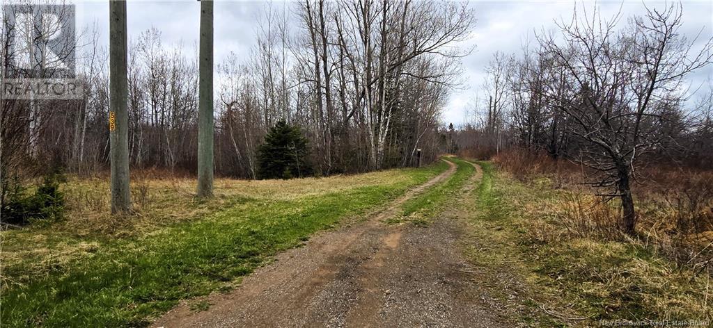 94 Acres Chemin Pallot, Pont-Lafrance, New Brunswick  E8P 1B5 - Photo 7 - NB118202