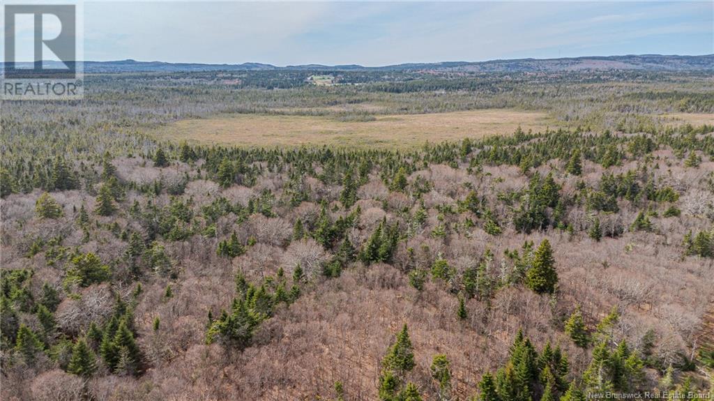 Lot D Old Shore Road, Tynemouth Creek, New Brunswick  E5R 1V8 - Photo 12 - NB118154