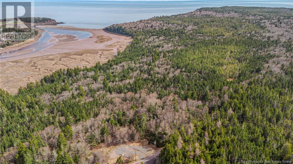 Lot D Old Shore Road, Tynemouth Creek, New Brunswick  E5R 1V8 - Photo 15 - NB118154