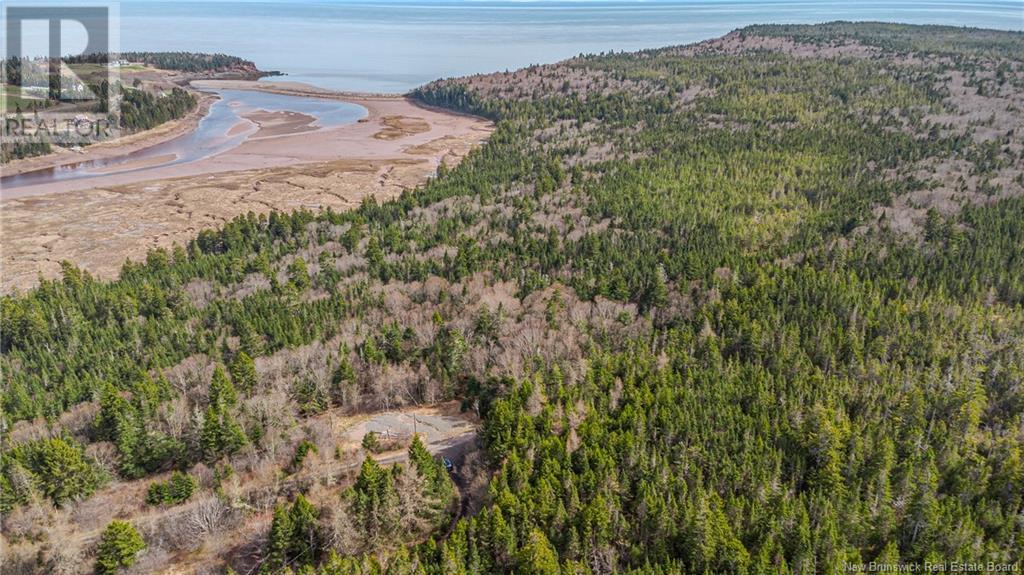 Lot D Old Shore Road, Tynemouth Creek, New Brunswick  E5R 1V8 - Photo 18 - NB118154