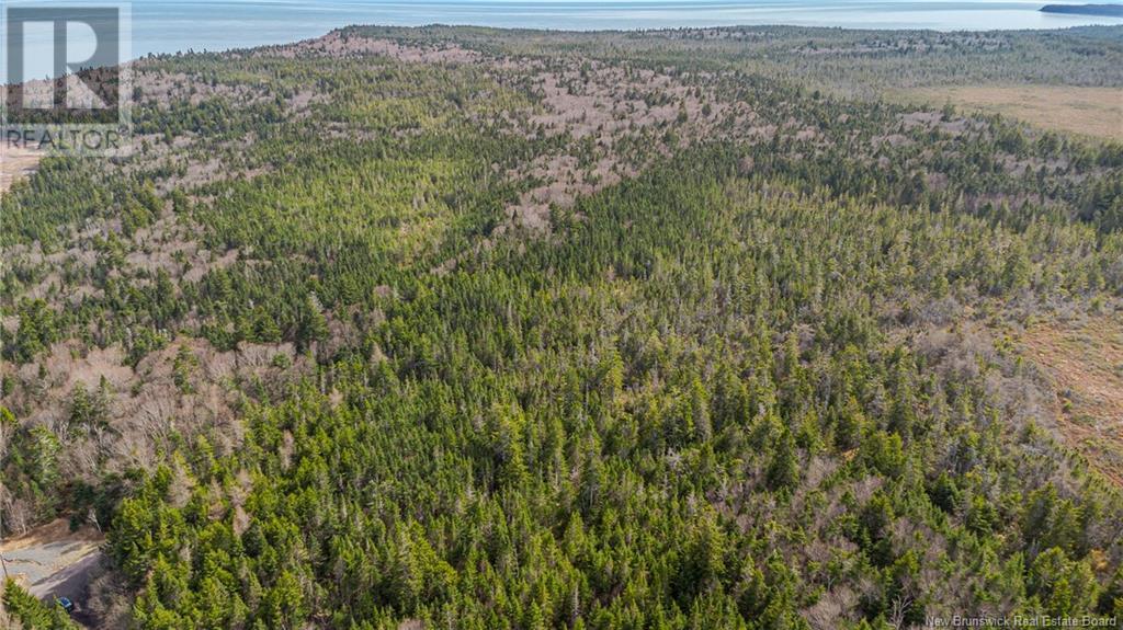 Lot D Old Shore Road, Tynemouth Creek, New Brunswick  E5R 1V8 - Photo 19 - NB118154