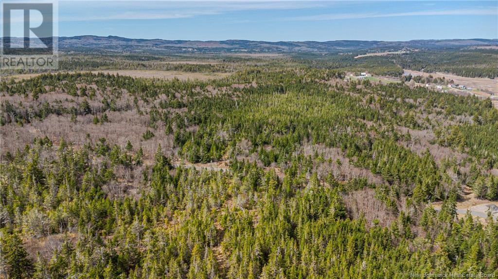 Lot D Old Shore Road, Tynemouth Creek, New Brunswick  E5R 1V8 - Photo 5 - NB118154