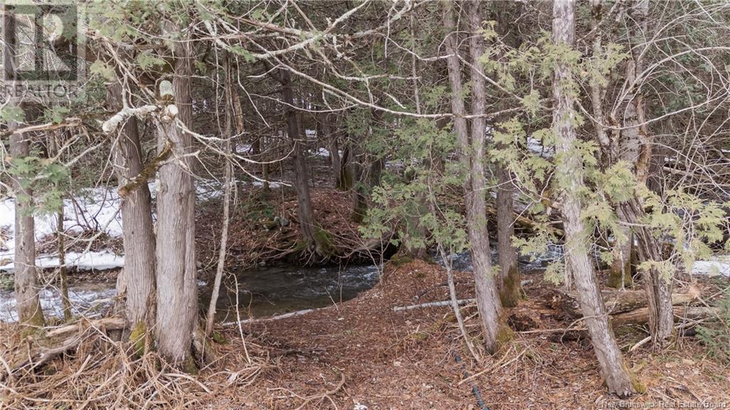 284 Dean Road, Bairdsville, New Brunswick  E7H 1W8 - Photo 12 - NB116798